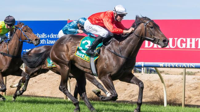 Wings Of Song can post a second straight win when she tackles a small field at Flemington. Picture: Racing Photos via Getty Images