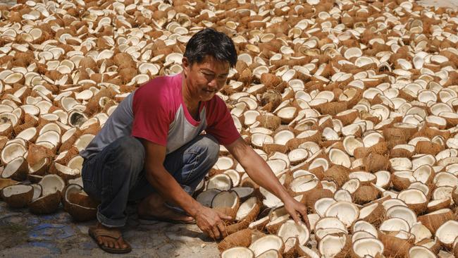 Tarmono dries coconuts at Pulau Laut. Picture: Jiro Ose