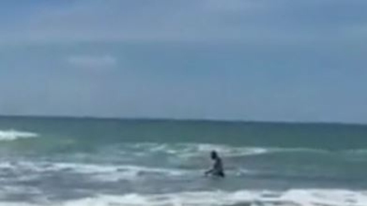 The man reportedly got a ‘huge fright’ after two fins appeared in the water near him.