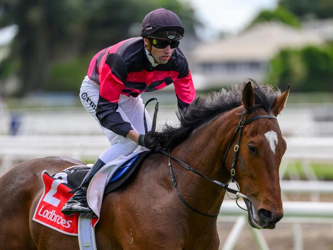 James Orman aboard I Am Artie for trainer Paul Jenkins. Picture: Racing Queensland.