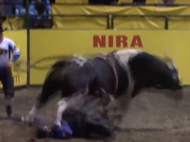 Odessa College bull rider Bradie Gray gets stomped in the chest after being thrown in Wyoming in 2017. Picture: Supplied