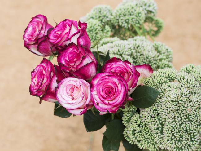 NEWS: Fig Orchard TongalaSeason updateSanto Pezzaniti and Dianna Haw on their fruit, vegetable and flower farm in TongalaPictured: Generic cut flowers.PICTURE: ZOE PHILLIPS