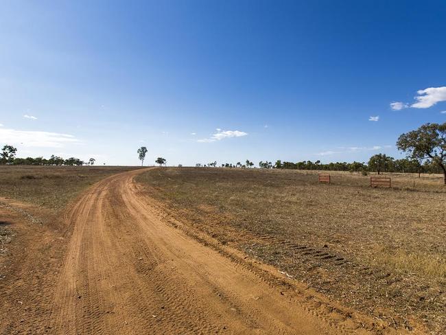 Matt Bennetto’s farm, soon to be providing cattle for China.