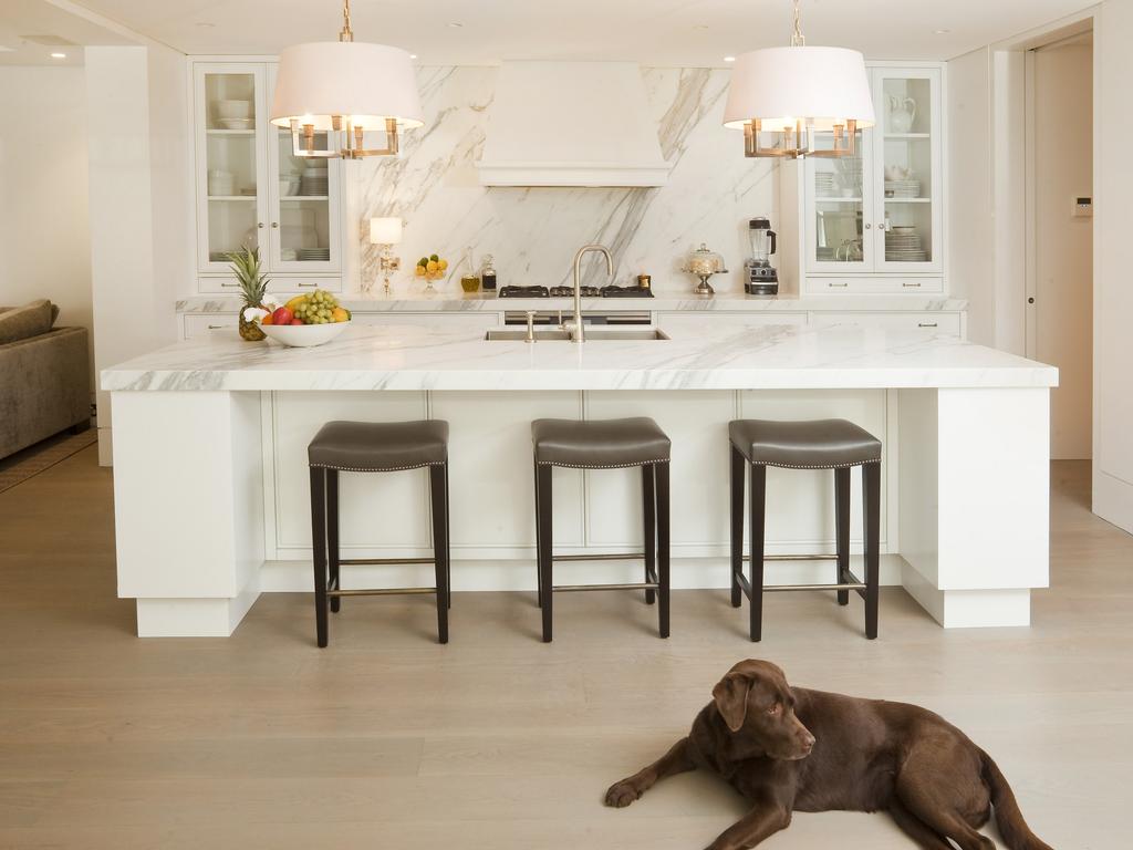 The dog-friendly kitchen.