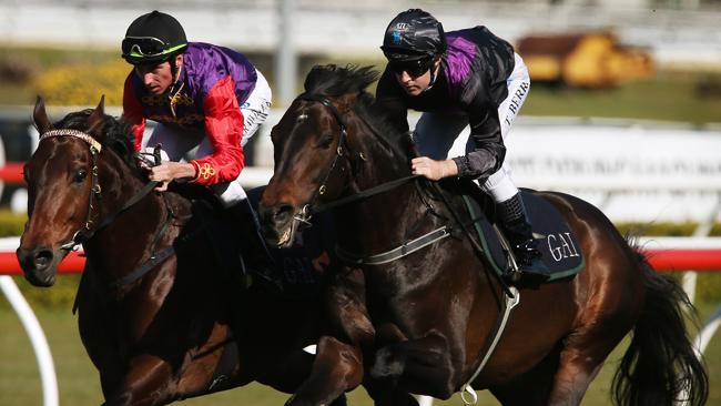 Gai Waterhouse's staying import Fiorente will be hard to beat over 1600m at Moonee Valley.