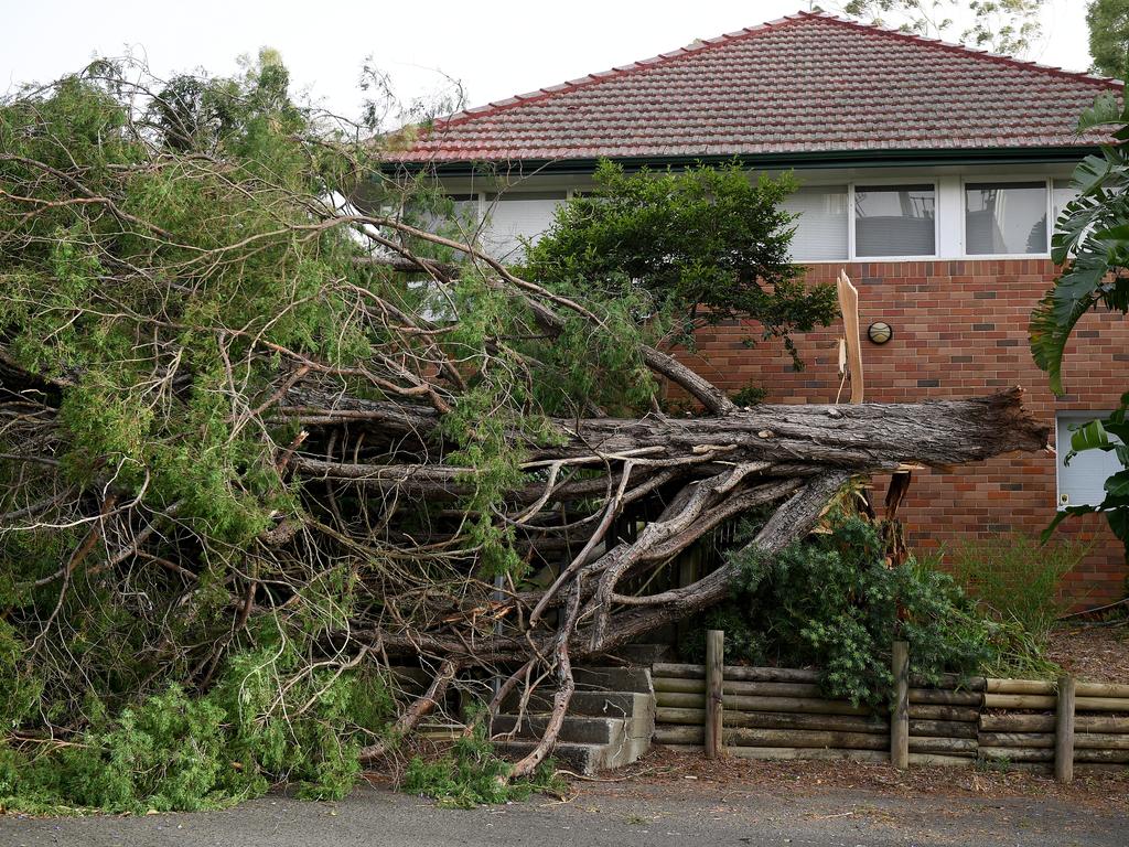 Storm damage is seen in Gordon, north of Sydney, Tuesday, November 26, 2019. A severe fast moving thunderstorm has passed over Sydney resulting in fallen trees and downed power lines in several Sydney suburbs. (AAP Image/Dan Himbrechts)