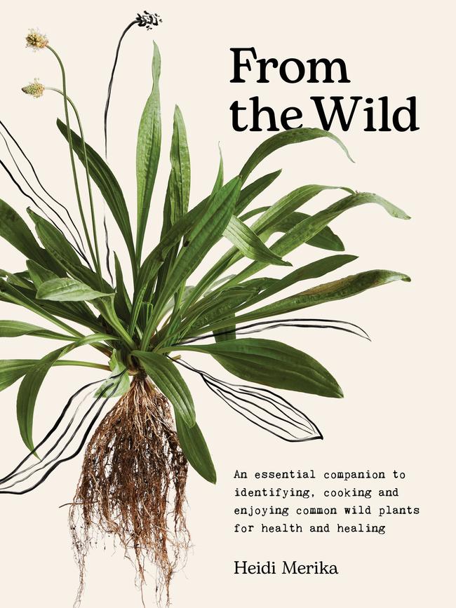 Cover of From the Wild by Heidi Merika