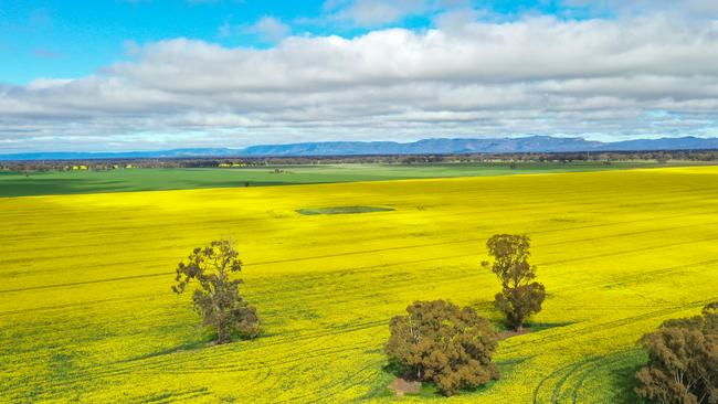 The 349ha Ridd’s Block is for sale for the first time since 1957.