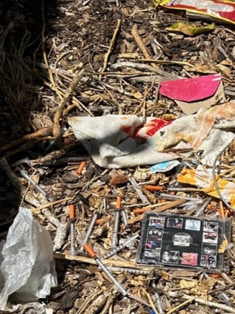 Syringes in a garden at Findon.