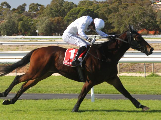 Anzac Day Horse Racers at Gawler and Barossa Jockey Club Schweppes Benchmark 120 hurdle Race at 1.13pm. Winner Angelology (NZ) #1 Jockey Steven Pateman. Photographer Emma Brasier