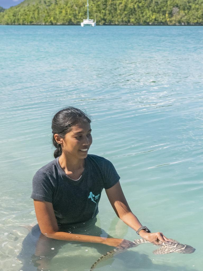 Project Manager and scientist, Nesha Ichida prepares to release Sydney-bred zebra shark 'Audrey' in Wayag. Picture: Indo Pacific Films