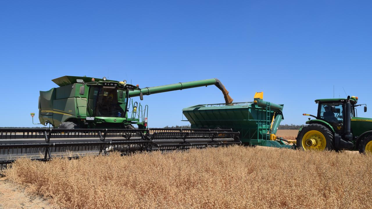 Viterra receives first receival for 2019-20 grain harvest | The Advertiser