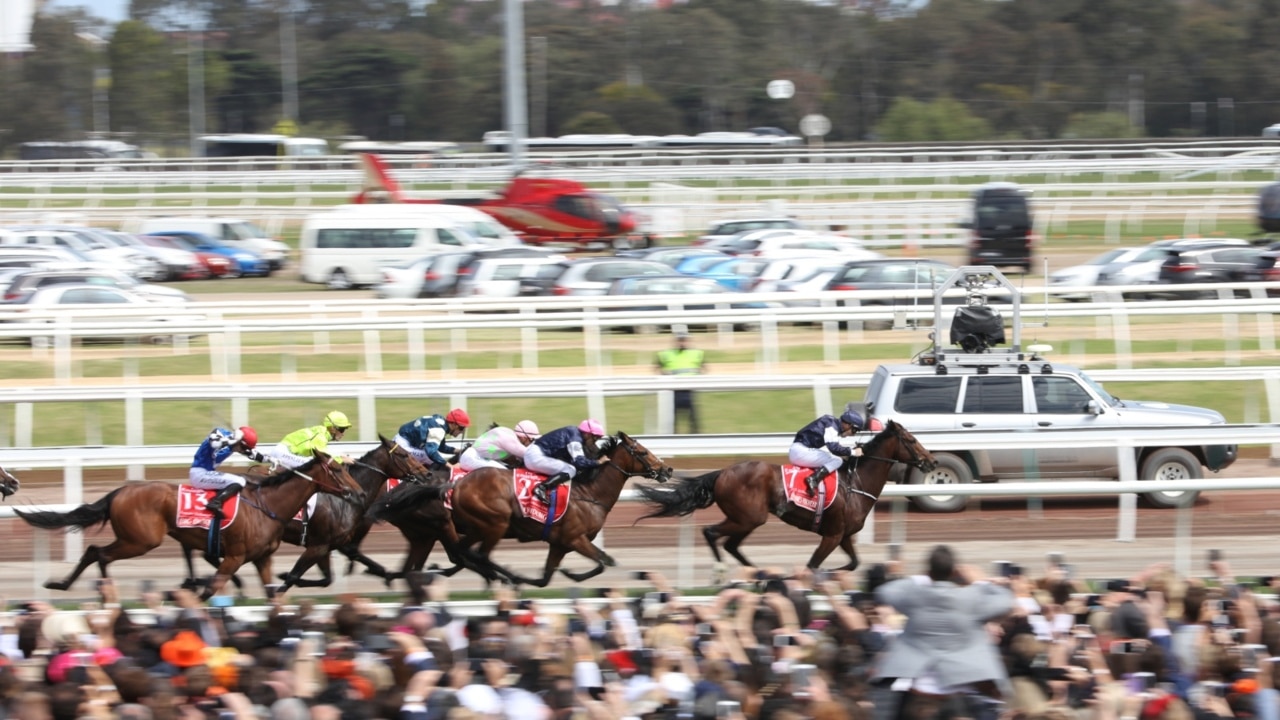 Darwin revellers celebrate despite Melbourne Cup loss