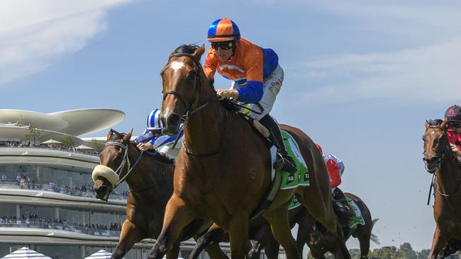 Grinzinger Belle led all the way to win The Vanity last start. Can he repeat the effort in the Kewney Stakes at Flemington on Saturday. Picture: Vince Caligiuri/Getty Images