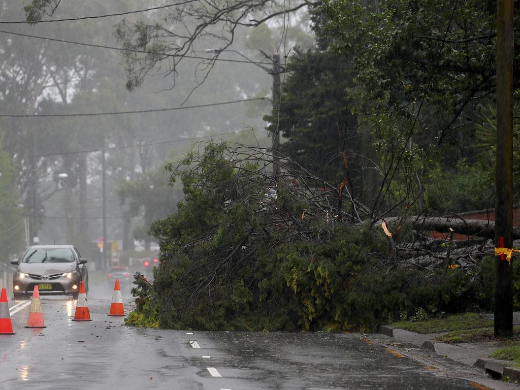 NSW Weather: Strong Winds Lash Hunter, Illawarra, Mid North Coast As ...