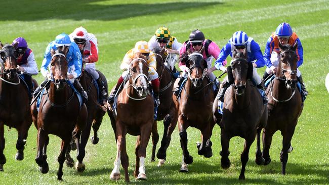 Grand Dreamer (left, blue). Picture: Vince Caligiuri/Getty Images.