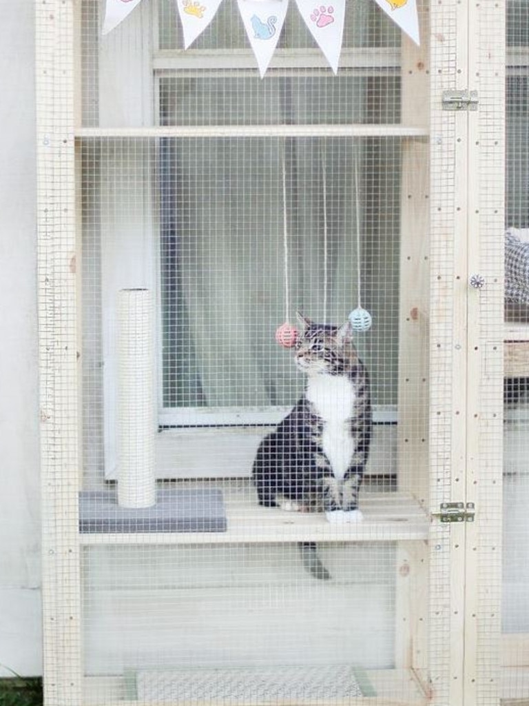 Ikea shop cat enclosure