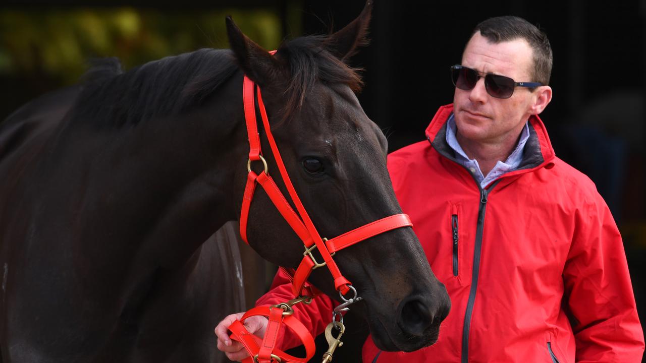 Trainer Adam Trinder has Mystic Journey in great shape for the Turnbull Stakes. Picture: AAP