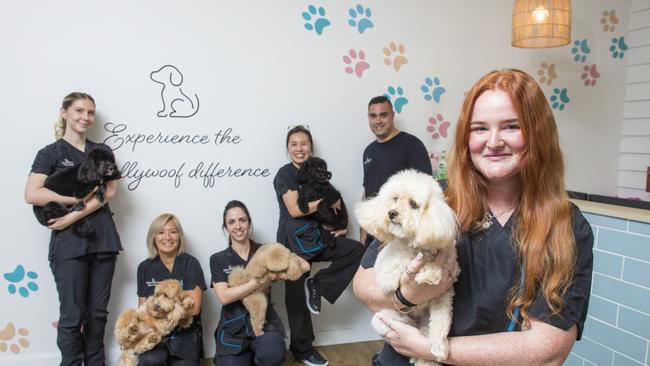 The team at Hollywoof - named the best dog groomer on the Gold Coast. L to R Maddie Maki Neste, Kaori Shepherd, Monique Virgilio, Jade Huand, owner Chris Jobsz and Kylie Turnbull Picture: Glenn Campbell