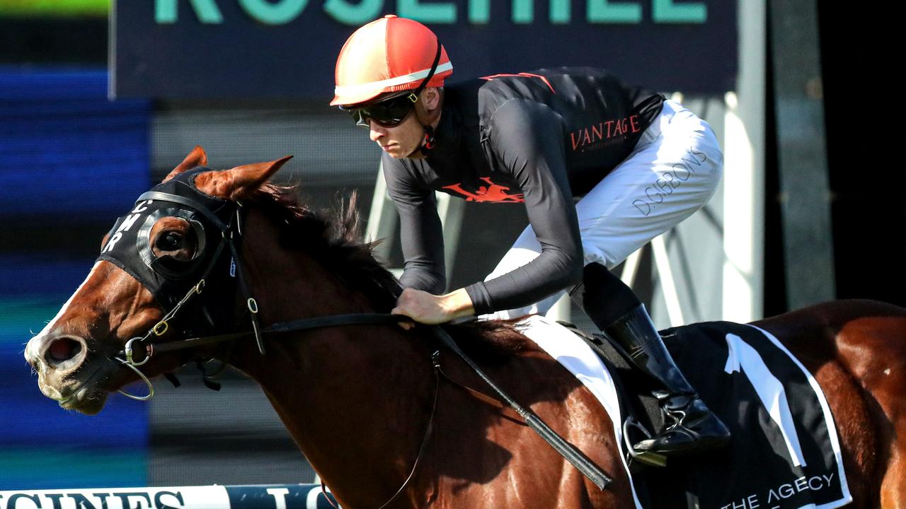 Semana was a late nomination for the Carrington Stakes. Picture: Jeremy Ng/Getty Images