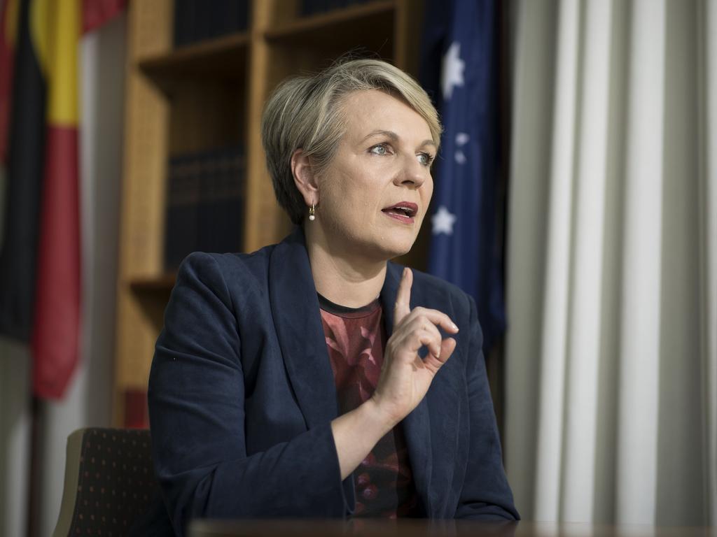 Tanya Plibersek pointed out a number of the women were taken to Syria as children. Picture: NCA NewsWire / Gary Ramage