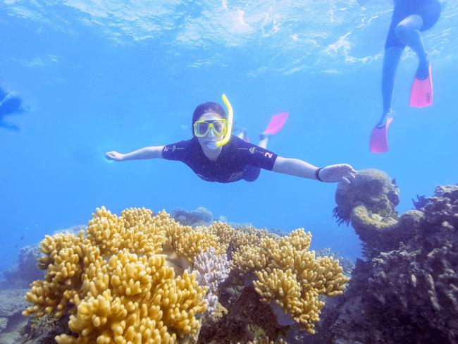 no one got around to completing the 2018 Great Barrier Reef report card.