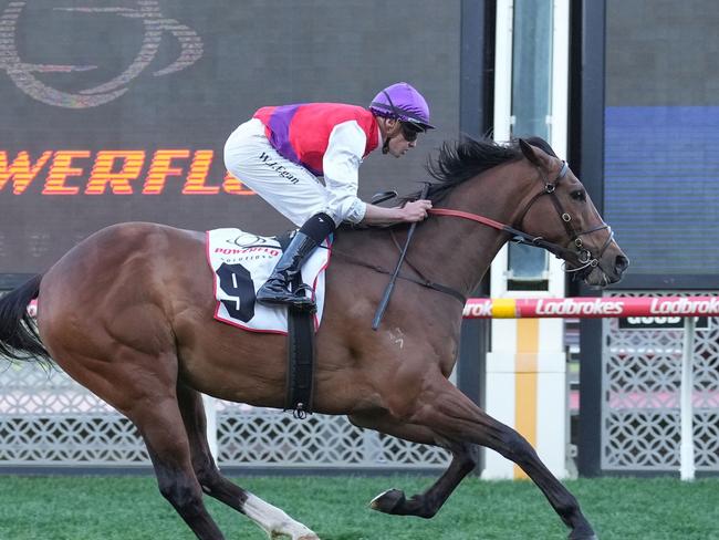 Ain'tnodeeldun ridden by Billy Egan wins the Powerflo Solutions Handicap at Moonee Valley Racecourse on September 09, 2023 in Moonee Ponds, Australia. (Photo by Scott Barbour/Racing Photos via Getty Images)