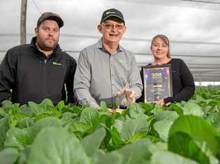 VALE: Barden Produce's Shaun Reina (left) is being remebered as a perfect human being. Bardens Produce is hosting a charity auction night to support the family, general manager Clem Hodgman said Shaun's death had left a huge hole for the whole community. Picture: Dominic Elsome