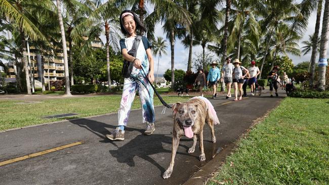 Mika Samarakoon walks with Matilda along the Cairns Esplanade in the RSPCA's Million Paws Walk fundraiser. Picture: Brendan Radke