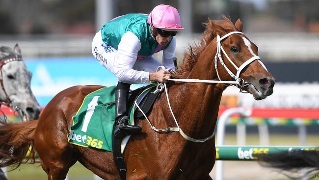 Finche is one of the better local chances for the Melbourne Cup. Picture: AAP