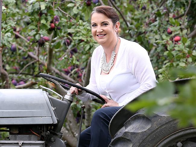 Rachel Lehmann-Ware of La Casa Vieja farm at Huonville is developing a diverse small plot vegie garden and selling online via new Fork to Fork platform. Rachel on her trusty tractor. Picture: SAM ROSEWARNE