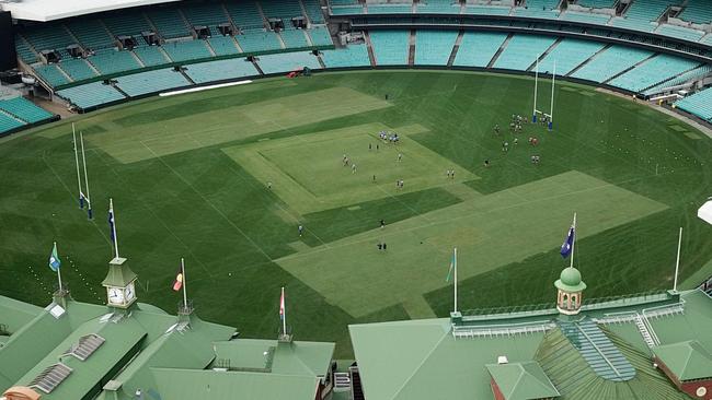 Sydney Roosters training on the new turf at the SCG. Picture: Jonathan Ng