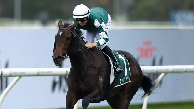 Treasurethe Moment has won nine of 11 starts including three Group 1s. Picture: Jason McCawley/Getty Images