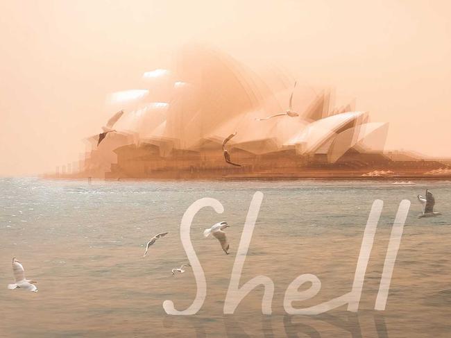 Shell, a novel by Kristina Olsson