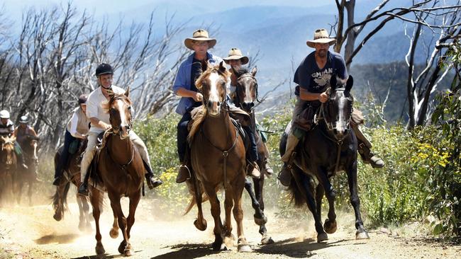 Tom Burlinson returns to the high country where The Man from Snowy River was filmed.