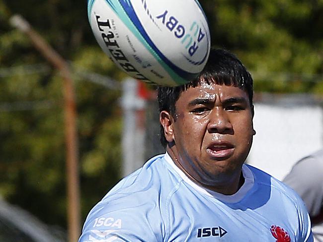 ‘They were exceptional! Duo impress in Waratahs v Brumbies U20s battle