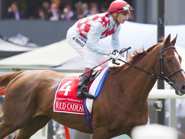 Racing images from Melbourne Cup Day 2014 at Flemington Racecourse CupDay2014. Emirates Melbourne Cups, Red Cadeaux with Gerald Mosse as they ride towards the starting gate. Picture: Sarah Matray