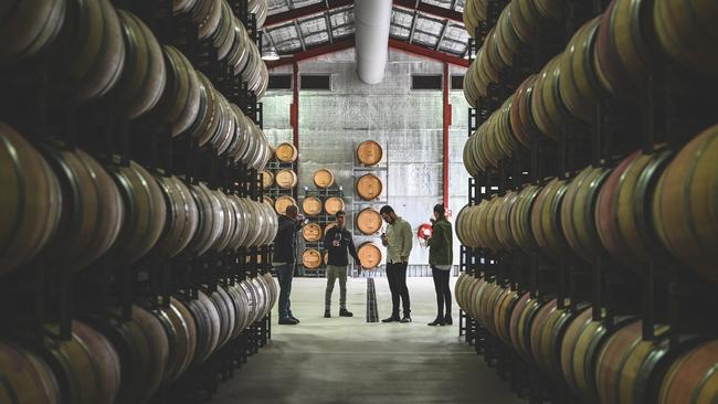 Barrel tasting with the winemakers.