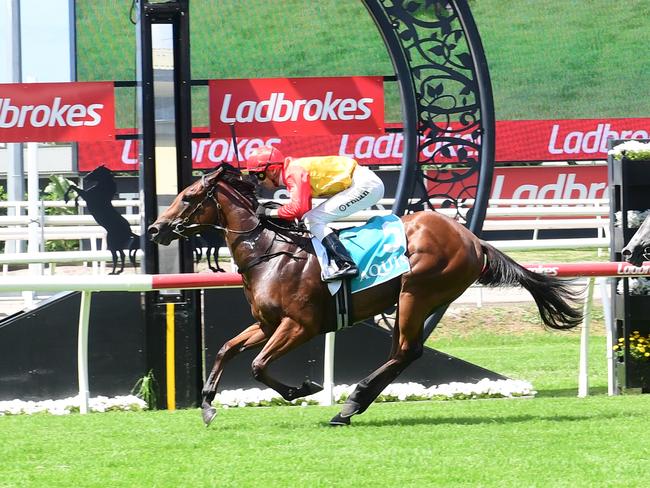 Barbie's Sister locks away her spot in the Magic Millions by winning the Listed Calaway Gal at Eagle Farm under Jimmy Orman. Picture: Natasha Wood - Trackside Photography