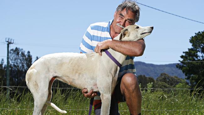 Greyhound trainer Cliff Bell. Picture: Adam Yip