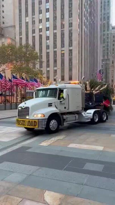 Rockefeller Christmas Tree Arrives in New York City