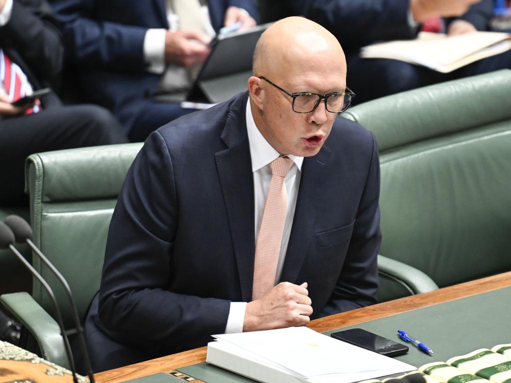 Liberal leader Peter Dutton accused the PM of making Australia’s relationship with the US “difficult”. Picture: NewsWire / Martin Ollman