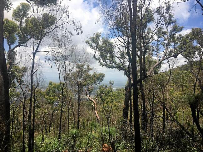 WALK NO 24: Grasstree Lookout, January 20, 2019. Picture: Neil Fisher