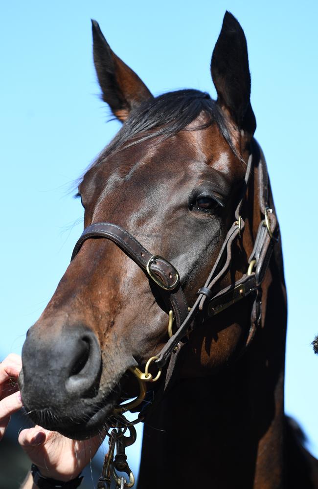 Winx and you’ll miss her: Winx won her third Cox Plate in record time. Picture: AAP/James Ross