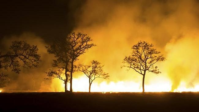 ‘Their limbs and heads had been burnt away’