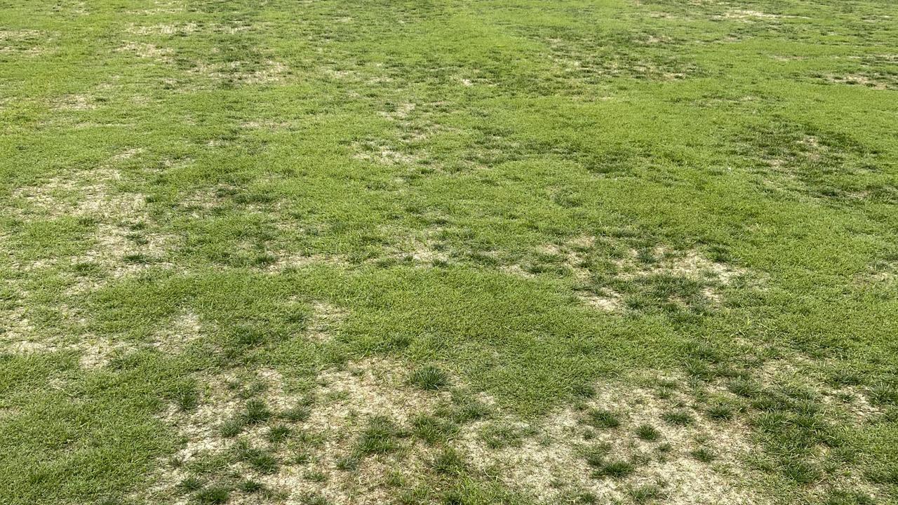 A League: Campbelltown Stadium poor surface pictures leaked | Daily ...