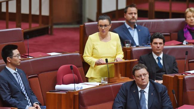 Lambie during her passionate maiden speech in 2014. Pic: AAP)