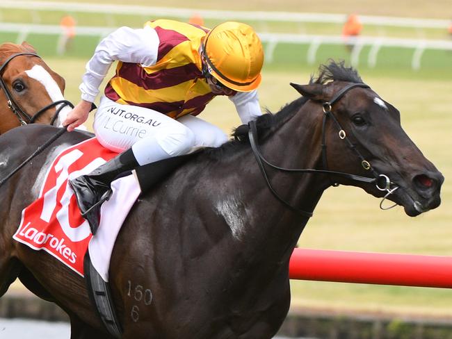 Jockey Luke Currie rides Pretty Brazen to victory in race 7, the Sandown Guineas, during the Zipping Classic Race Day at Sandown Racecourse in Melbourne, Saturday, November 16, 2019. (AAP Image/Vince Caligiuri) NO ARCHIVING, EDITORIAL USE ONLY