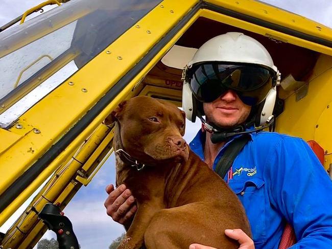 Tom Grey was one of only two Air Tractor AT-502B pilots globally to die from bird strikes since 2008