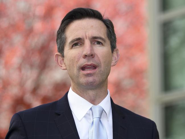 Australian Trade Minister Simon Birmingham says Victoria “stuffed up” it’s handling of the COVID-19 pandemic. Picture: AAP